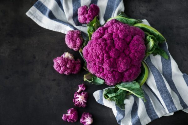 Supermercati Tocal - Scopri la grande famiglia Supermercati TOCAL - Ogni giorno tantissime offerte ti aspettano all’interno dei nostri punti vendita