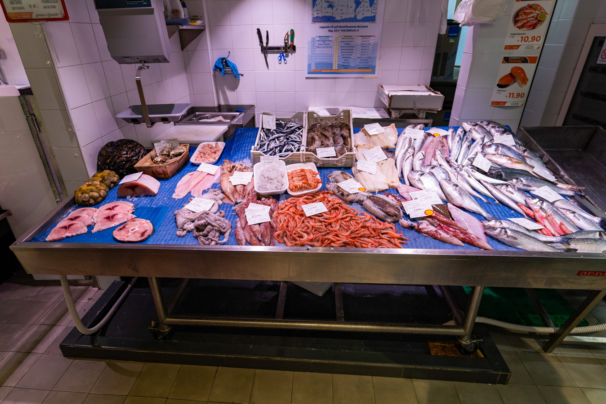 Supermercati Tocal - Scopri la grande famiglia Supermercati TOCAL - Ogni giorno tantissime offerte ti aspettano all’interno dei nostri punti vendita