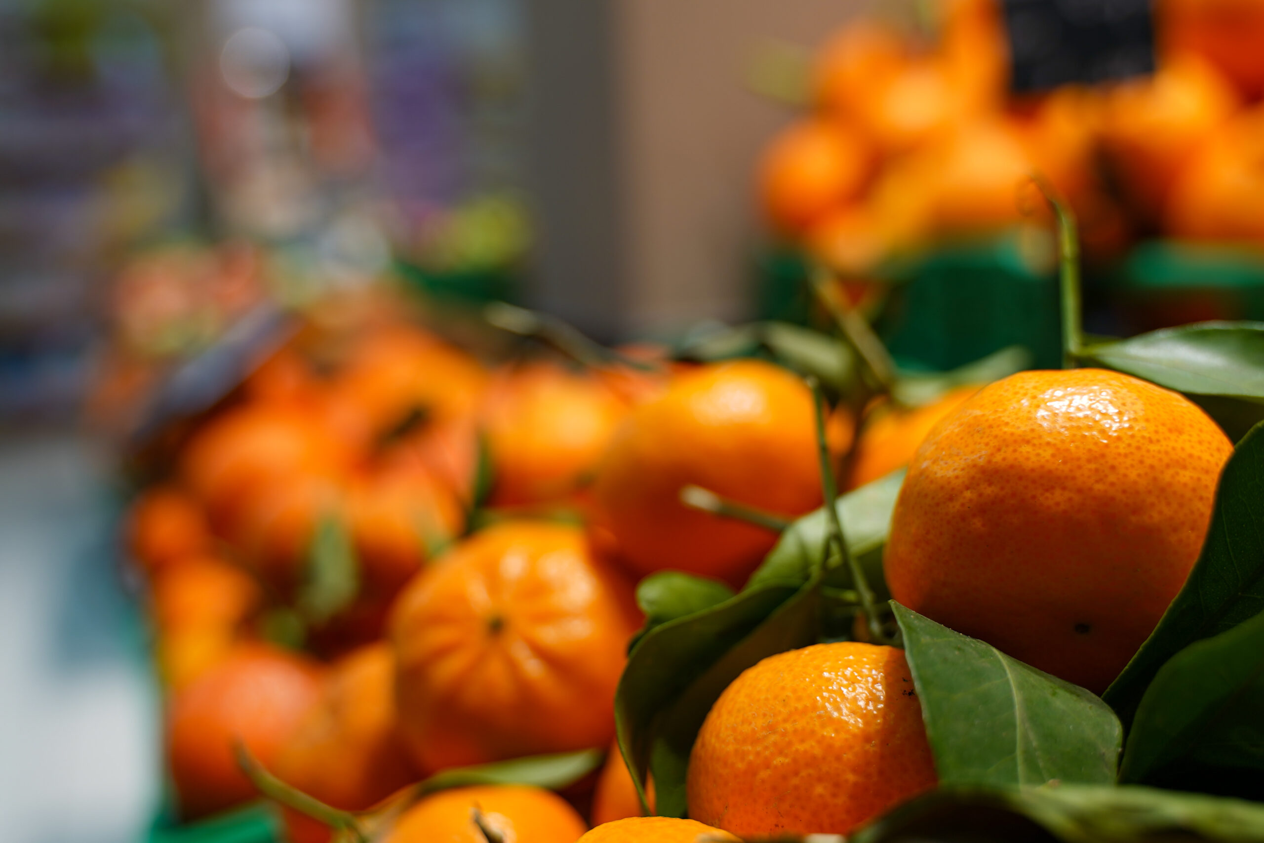 Supermercati Tocal - Scopri la grande famiglia Supermercati TOCAL - Ogni giorno tantissime offerte ti aspettano all’interno dei nostri punti vendita