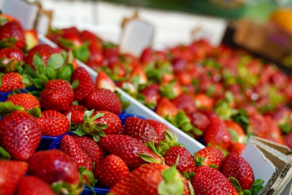 Supermercati Tocal - Scopri la grande famiglia Supermercati TOCAL - Ogni giorno tantissime offerte ti aspettano all’interno dei nostri punti vendita