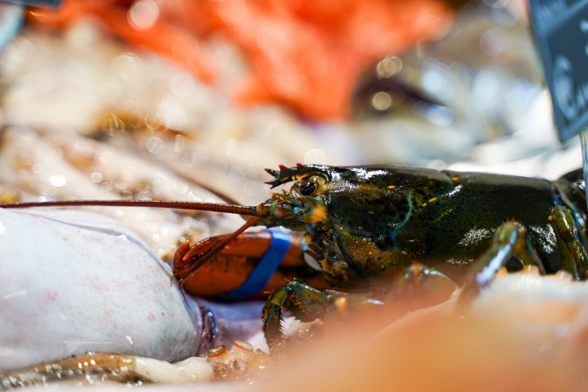 Supermercati Tocal - Scopri la grande famiglia Supermercati TOCAL - Ogni giorno tantissime offerte ti aspettano all’interno dei nostri punti vendita