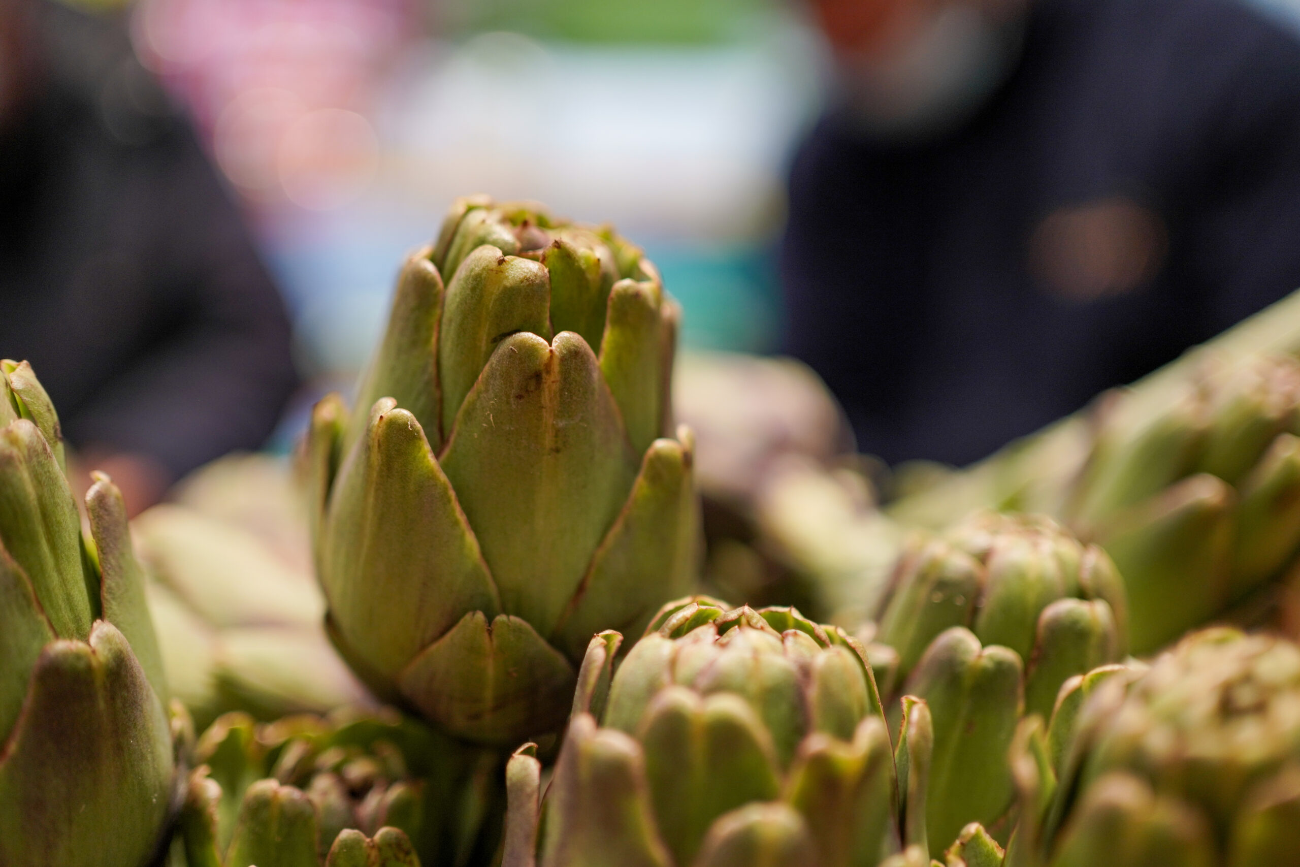 Supermercati Tocal - Scopri la grande famiglia Supermercati TOCAL - Ogni giorno tantissime offerte ti aspettano all’interno dei nostri punti vendita