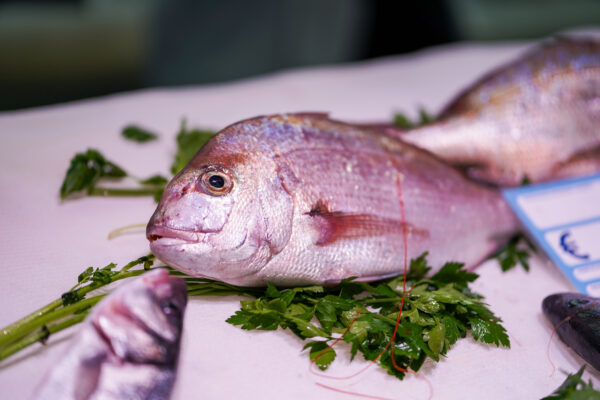 Supermercati Tocal - Scopri la grande famiglia Supermercati TOCAL - Ogni giorno tantissime offerte ti aspettano all’interno dei nostri punti vendita